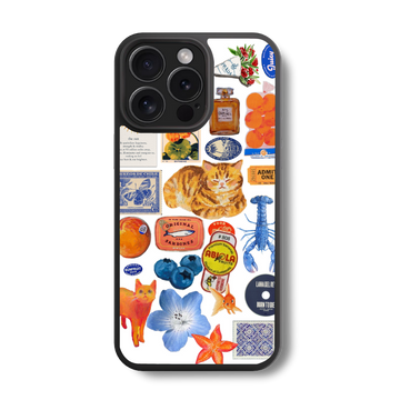 Orange Tabby Sticker Collage Glass Case