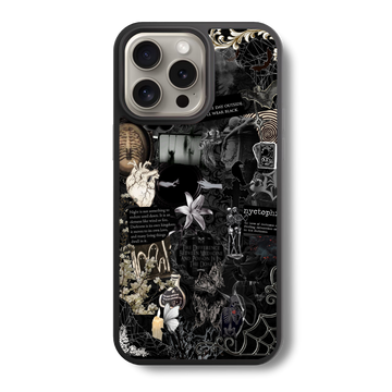 The Spidersilk Collection Glass Case